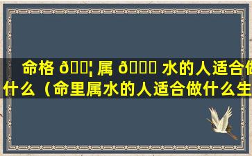 命格 🐦 属 🍁 水的人适合做什么（命里属水的人适合做什么生意）